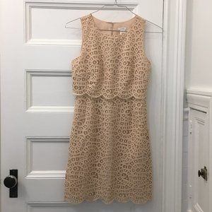 JCrew Nude Lace Scallop Edge Cocktail Dress